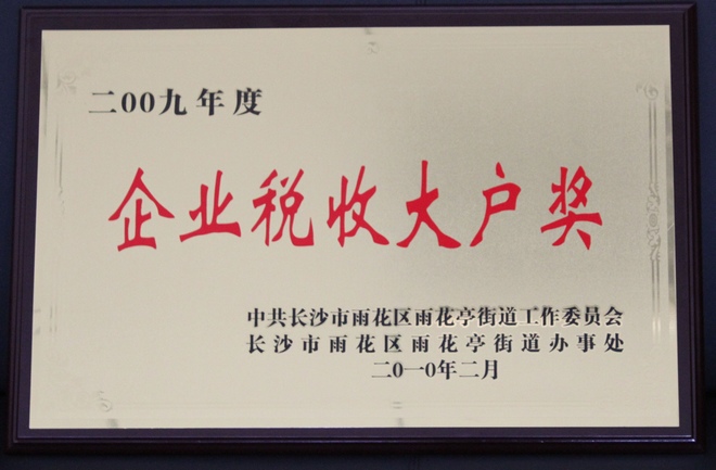 2010.2企業(yè)稅收大戶